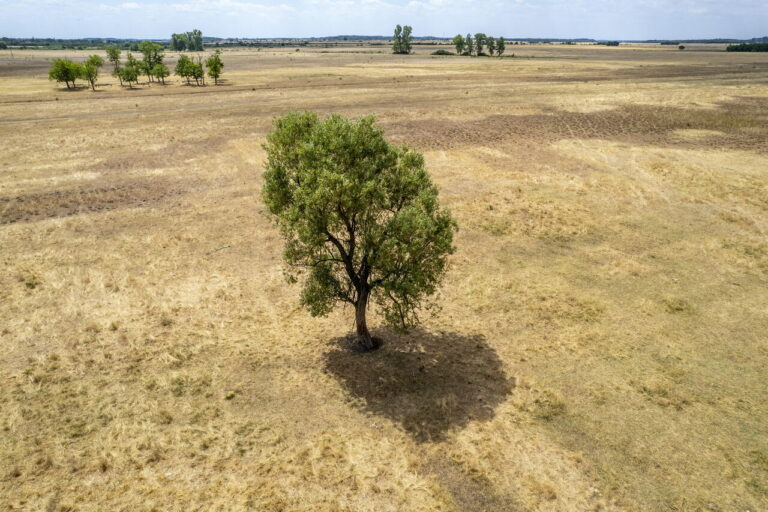 Hungary drought water danube tisza
