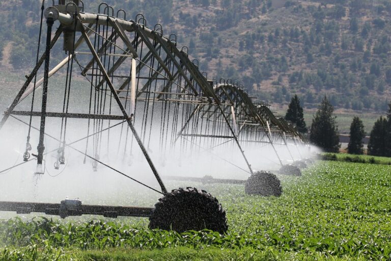 drought Hungary irrigation illustration crisis agriculture
