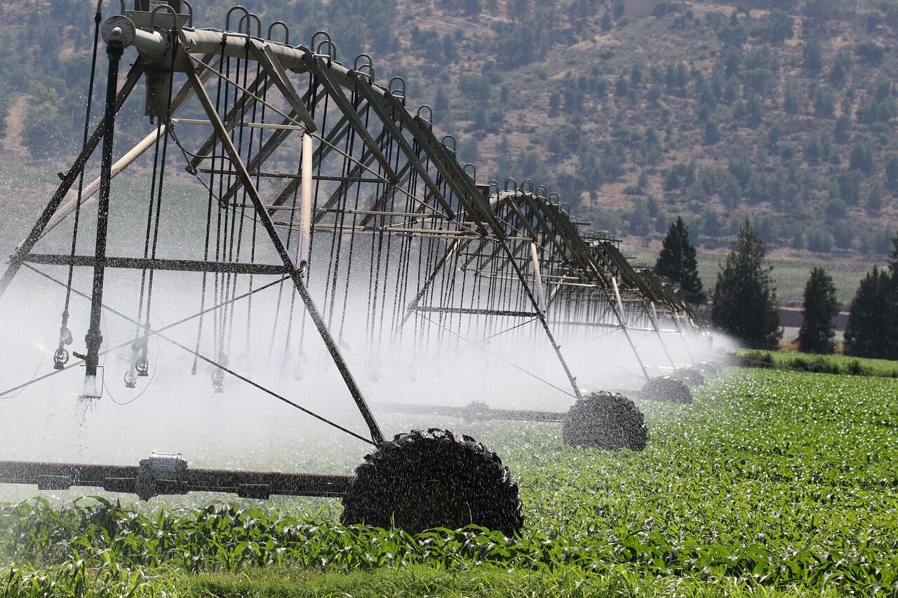 drought Hungary irrigation illustration crisis agriculture