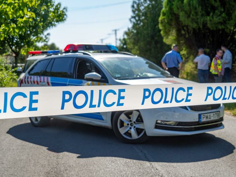 Hungarian horror story: Man murders mother of five