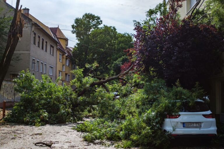 Thunderstorm Hungary news