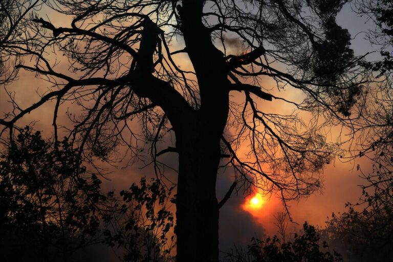 Wildfires rage in Eastern Europe