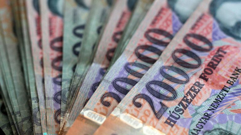 forint insurance loan