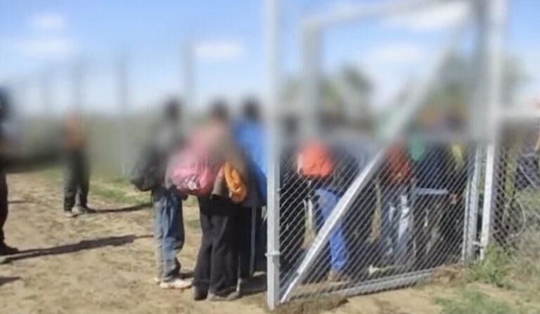 refugee deportation expelled Afghan student
